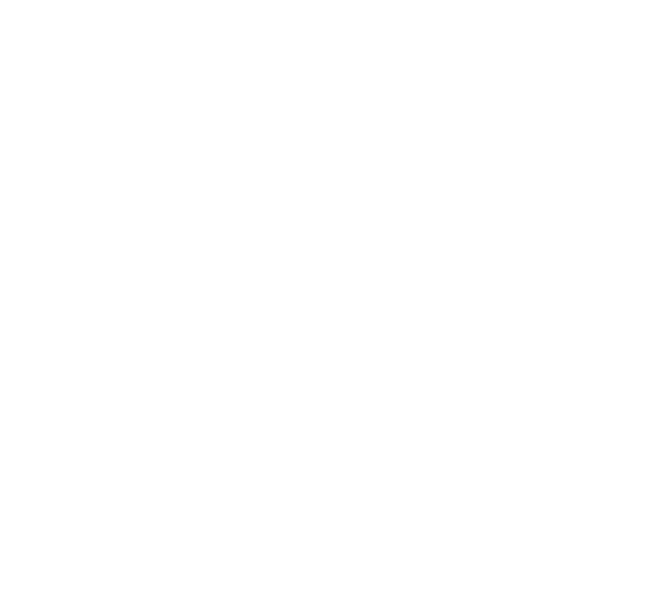 White Orchid Studio